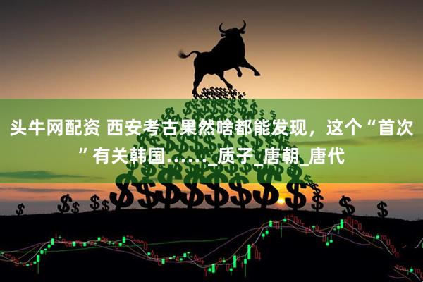 头牛网配资 西安考古果然啥都能发现，这个“首次”有关韩国……_质子_唐朝_唐代