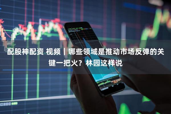 配股神配资 视频｜哪些领域是推动市场反弹的关键一把火？林园这样说