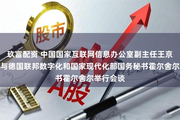 玖富配资 中国国家互联网信息办公室副主任王京涛在柏林与德国联邦数字化和国家现代化部国务秘书霍尔舍尔举行会谈